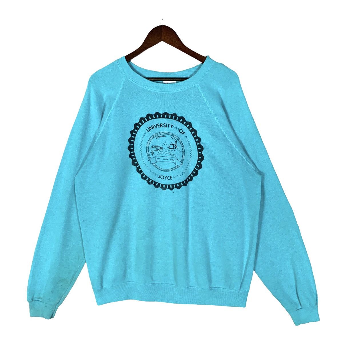 Vintage Hanes University Of Joyce Sweatshirt Size L