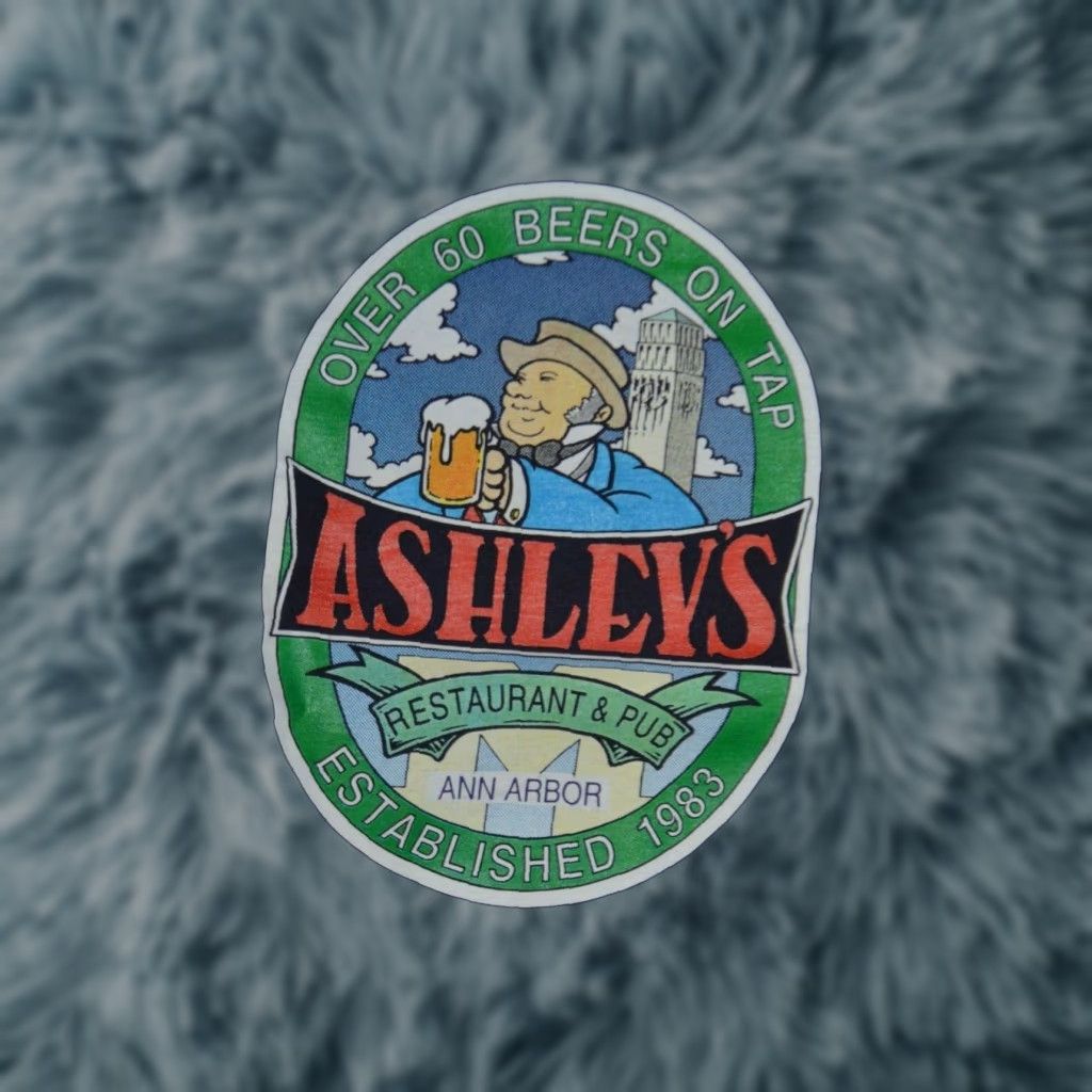 Hanes Vintage Ashley S Restaurant Pub Ann Arbor Mi T Shirt Youth Large 14 16 Nice Bar Hoodie, Sweatshirt | FlexRushtees.com