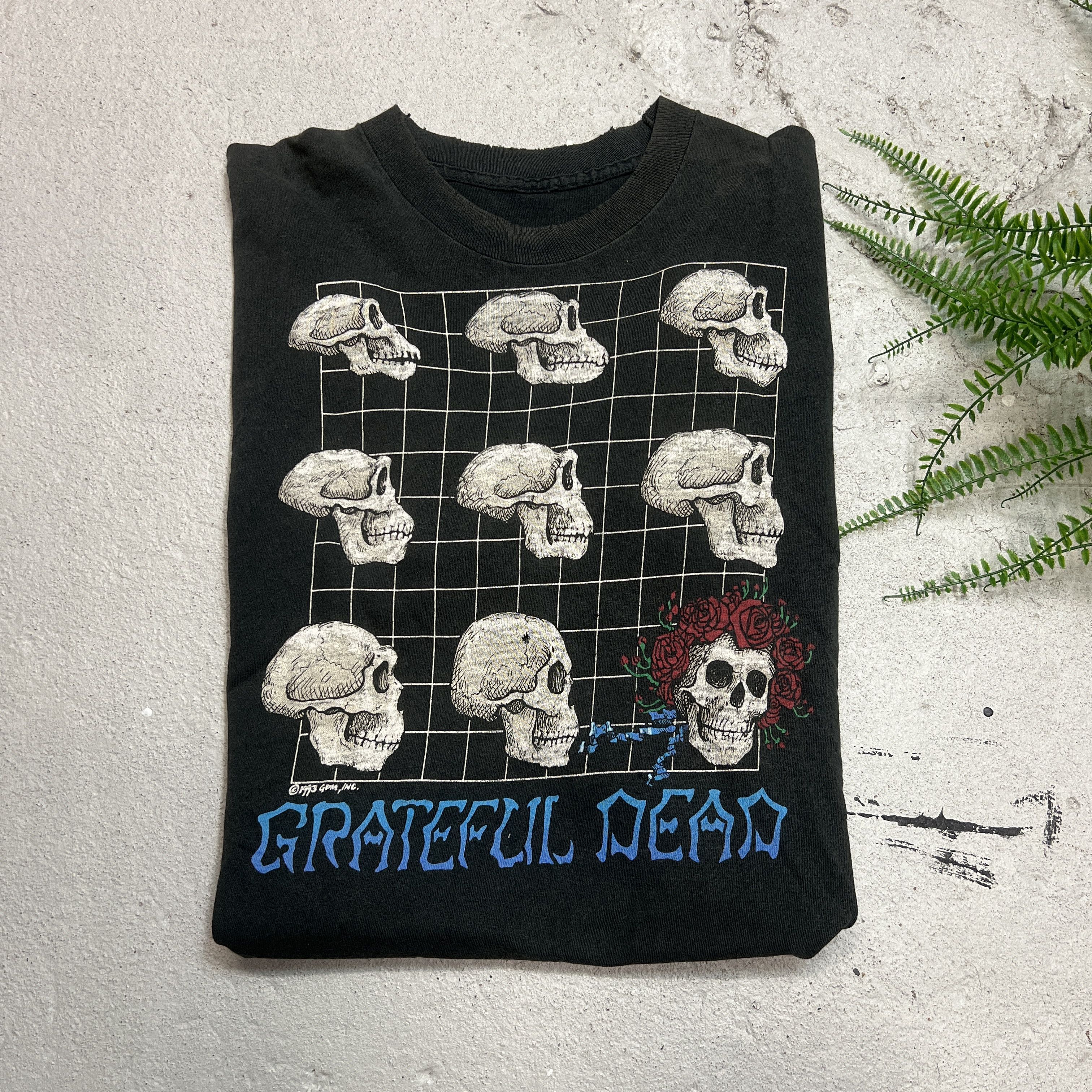 Vintage 1993 Grateful Dead Evolution Promo Band Tee Deadhead Hoodie, Sweatshirt | FlexRushtees.com