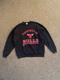 Salem Sportswear Vintage Chicago Bulls Crewneck Sweatshirt Salem Sportswear T-Shirts, Hoodie | FlexRushtees.com