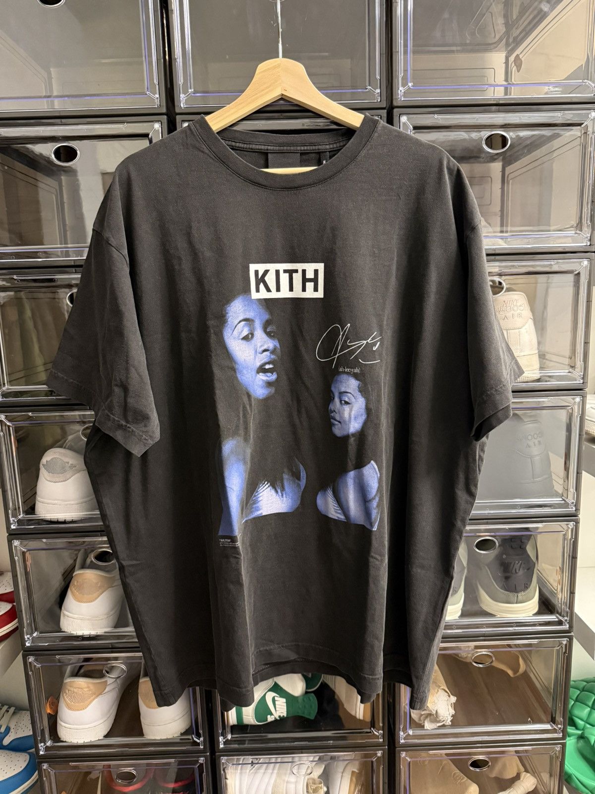 Aaliyah Are You That Somebody Tee Hoodie, Sweatshirt | FlexRushtees.com