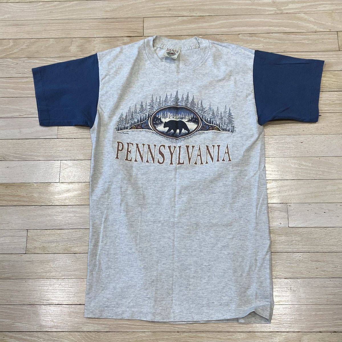 Vintage Vtg Prairie Mountain Pennsylvania Tee Size M Slim Fit
