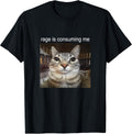 Funny Silly Cat Memes by The Meme Factory