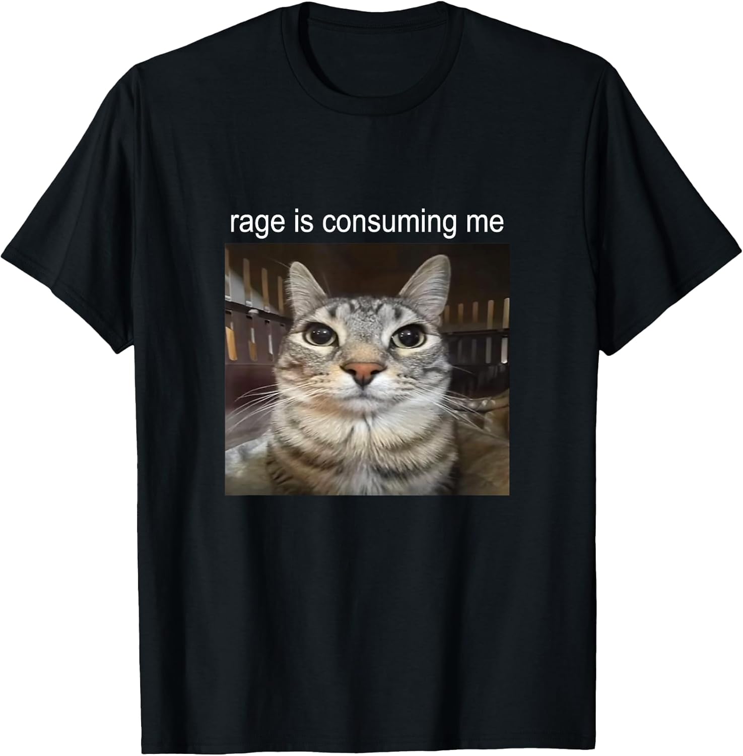 Funny Silly Cat Memes by The Meme Factory