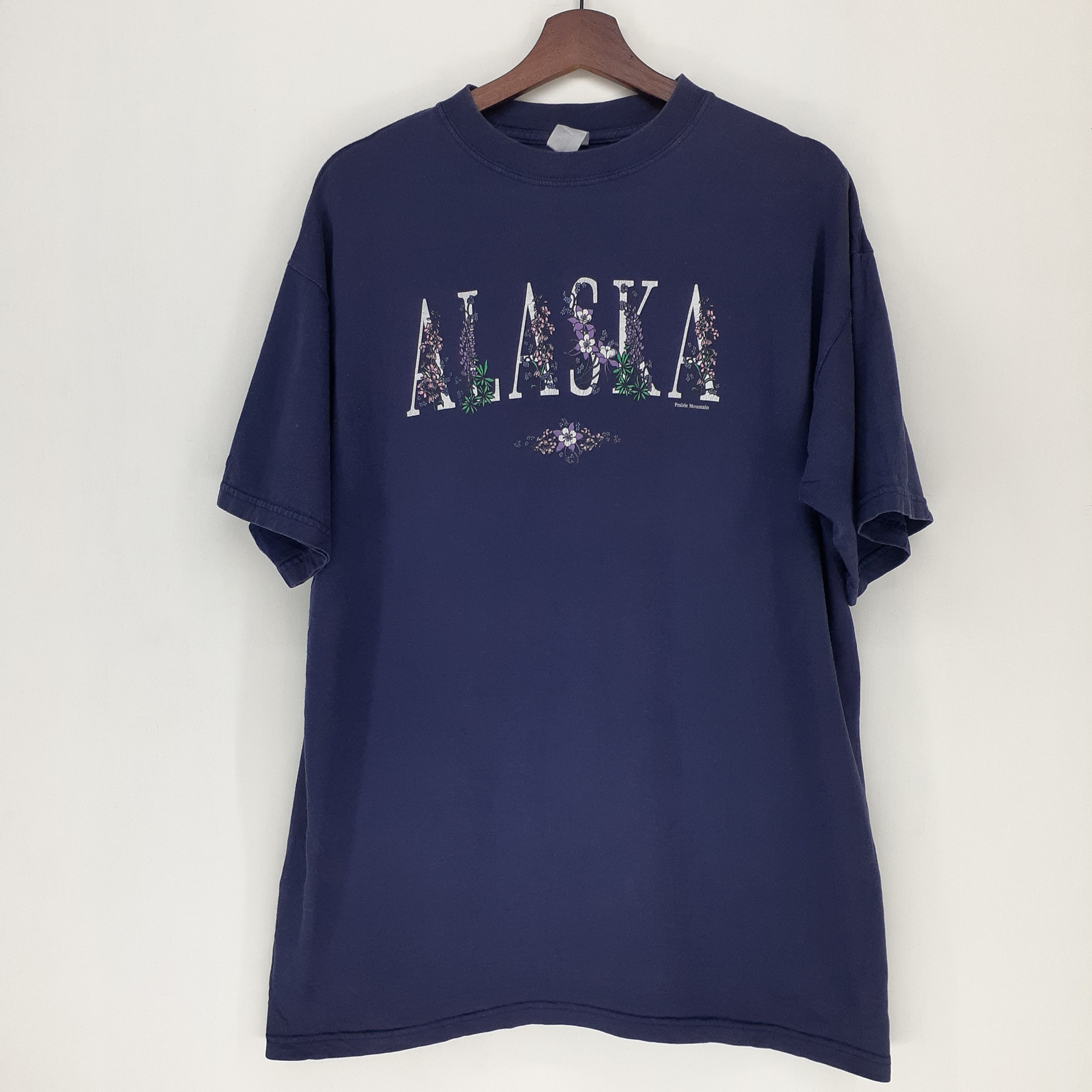 Other Alaska Prairie Mountain Tee