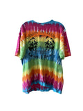 Vintage Grateful Dead 1993 Summer Tour Tee Hoodie, Sweatshirt | FlexRushtees.com