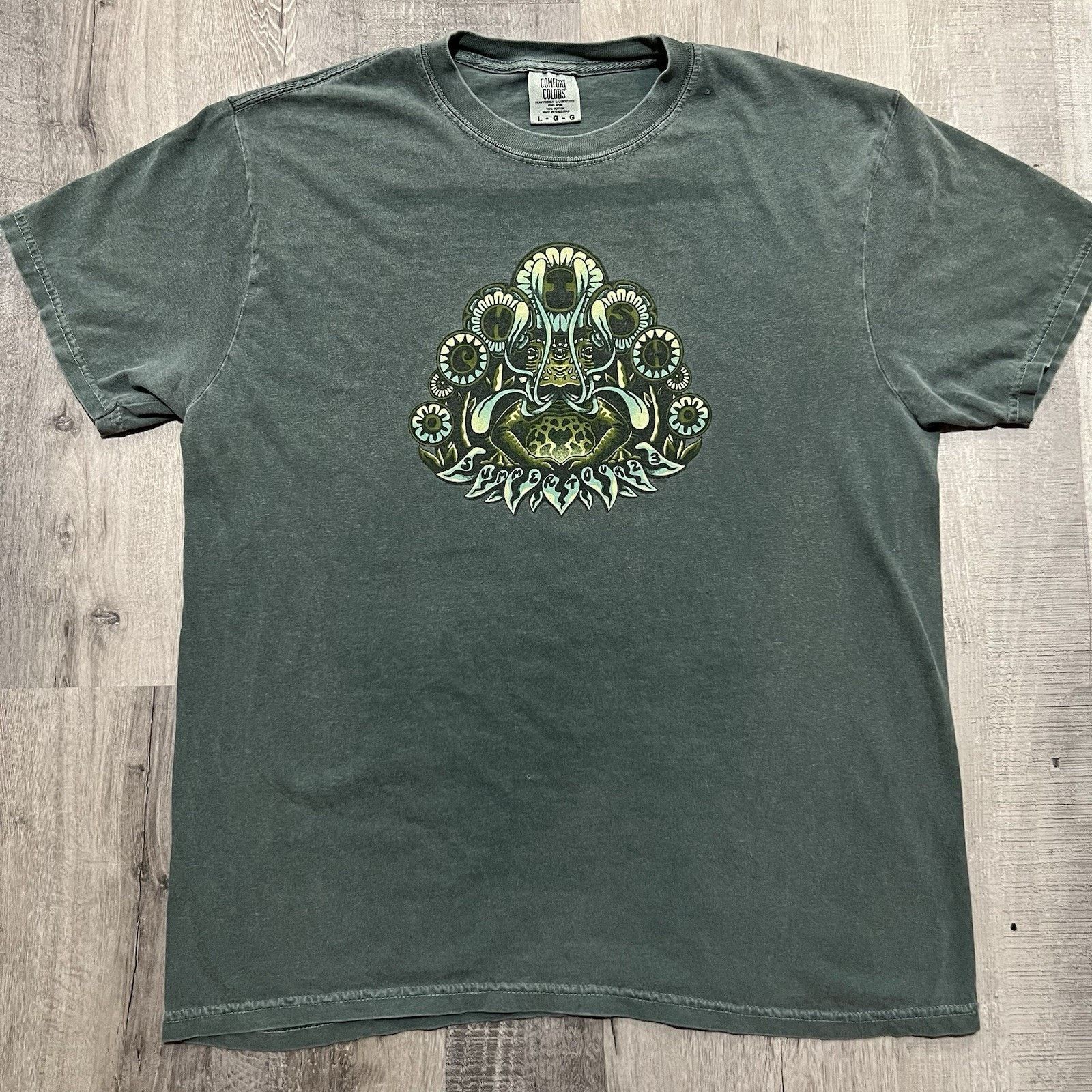 Comfort Colors Phish Concert Band T Shirt Faded Green Band Tee Mens L Hoodie, Sweatshirt | FlexRushtees.com