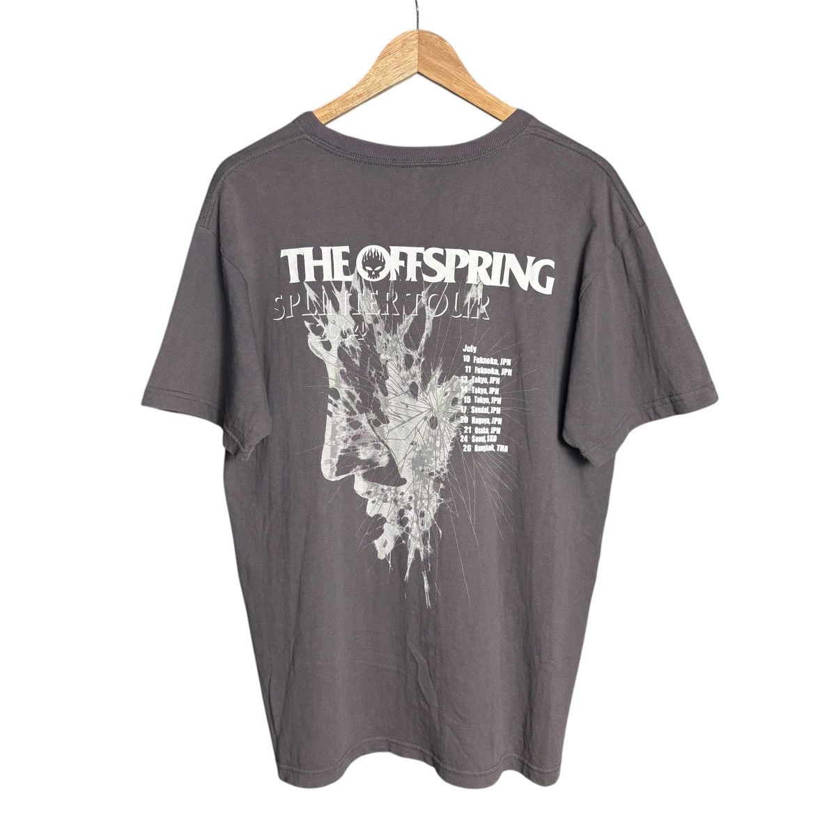 Vintage Y2k The Offspring Punk Tour Band Tee Hoodie, Sweatshirt | FlexRushtees.com