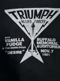 Band Tees Triumph Allied Forces Tour Band Tee Heavy Metal Sepultura Hoodie, Sweatshirt | FlexRushtees.com