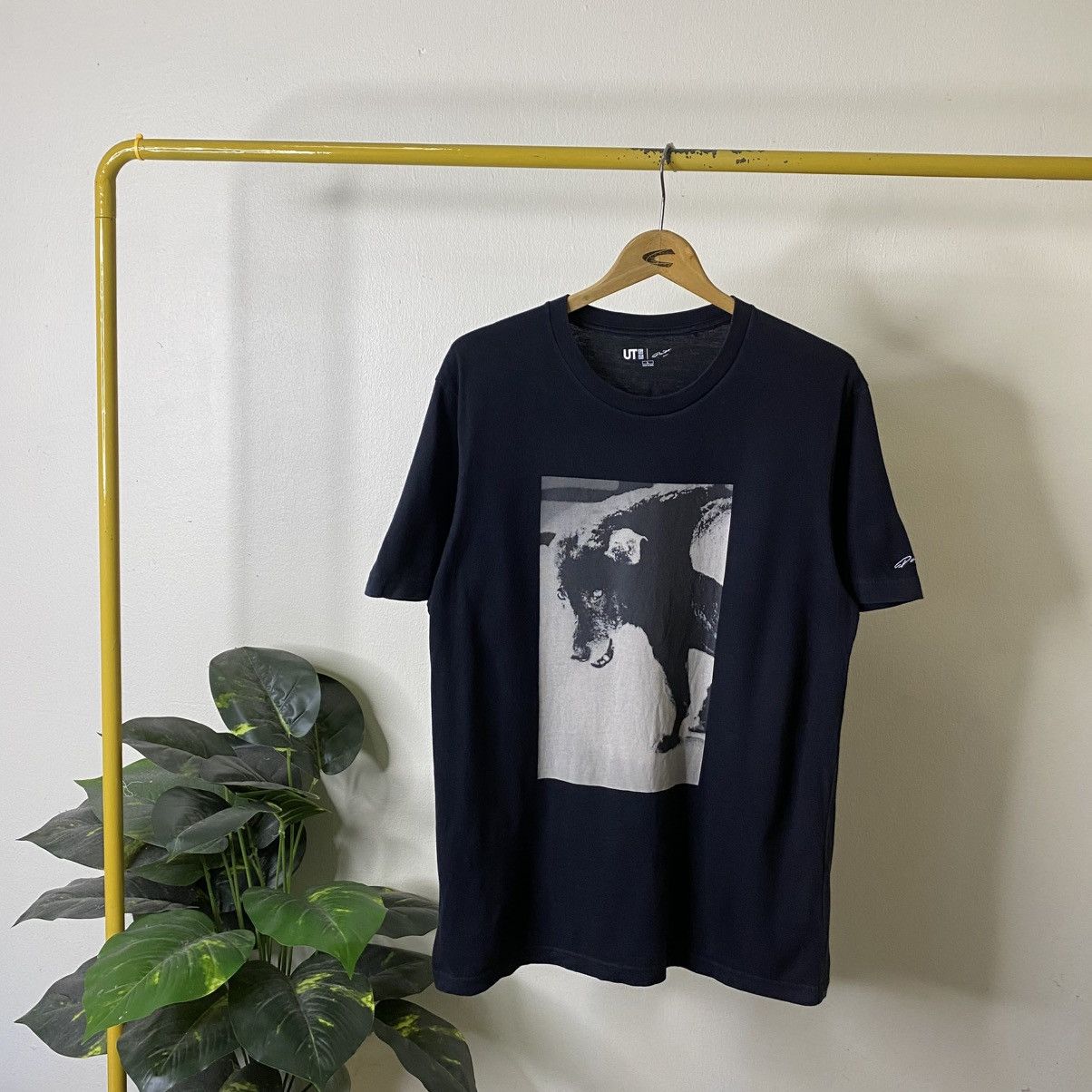 Uniqlo Daido Moriyama Iconic Stray Dog Photograph Collaboration Tee Hoodie, Sweatshirt | FlexRushtees.com