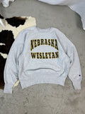 Vintage Champion Nebraska 90s Sweatshirt T-Shirts, Hoodie | FlexRushtees.com