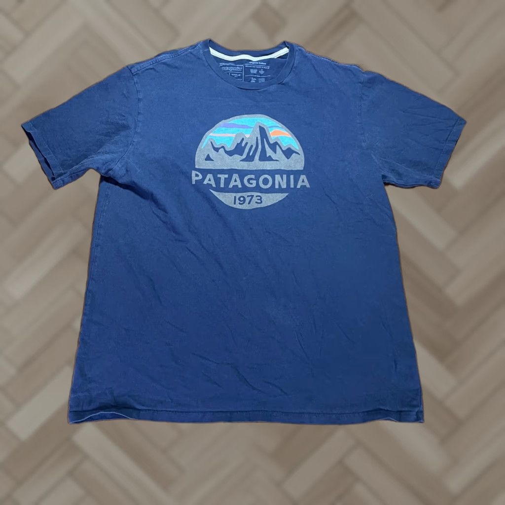 Patagonia Shirt Mens Medium Blue Tee Casual Preppy Outdoor Hoodie, Sweatshirt | FlexRushtees.com