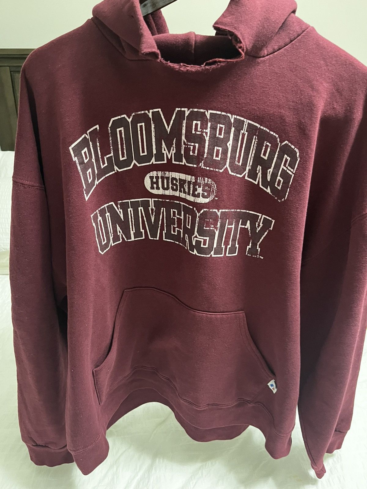 Vintage 90s Bloomberg University Hoodie