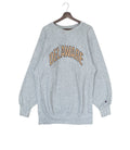 Vintage Champion Reverse Weave Delaware Sweatshirt 1990s T-Shirts, Hoodie | FlexRushtees.com