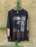 Band Tees Ingested Slam Long Sleeve Shirt Y2k Sum 41 Immortal Hoodie, Sweatshirt | AU16VibeMintTees.com