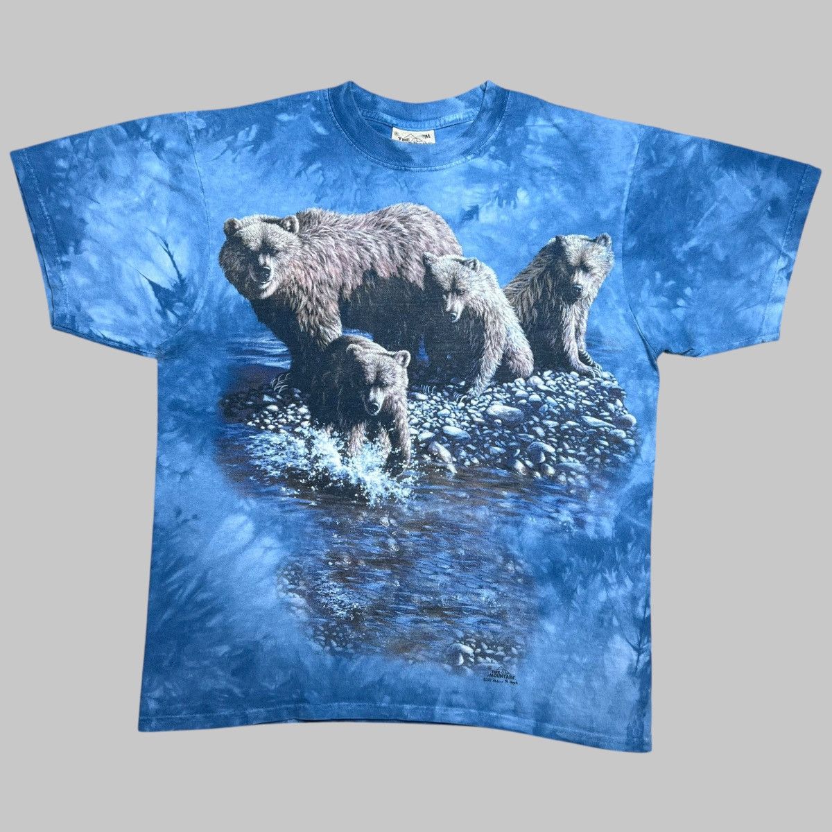 Vintage 2001 Brown Bears Nature The Mountain Graphic Tee