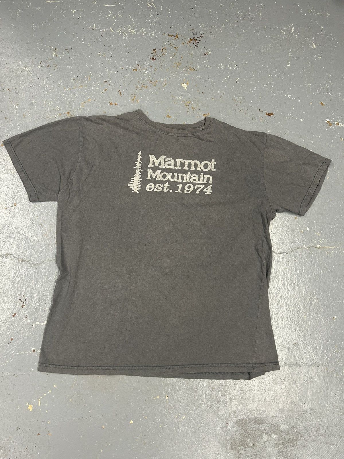 Vintage Crazy Y2k Essential Marmot Mountain Graphic Tee Shirt Script