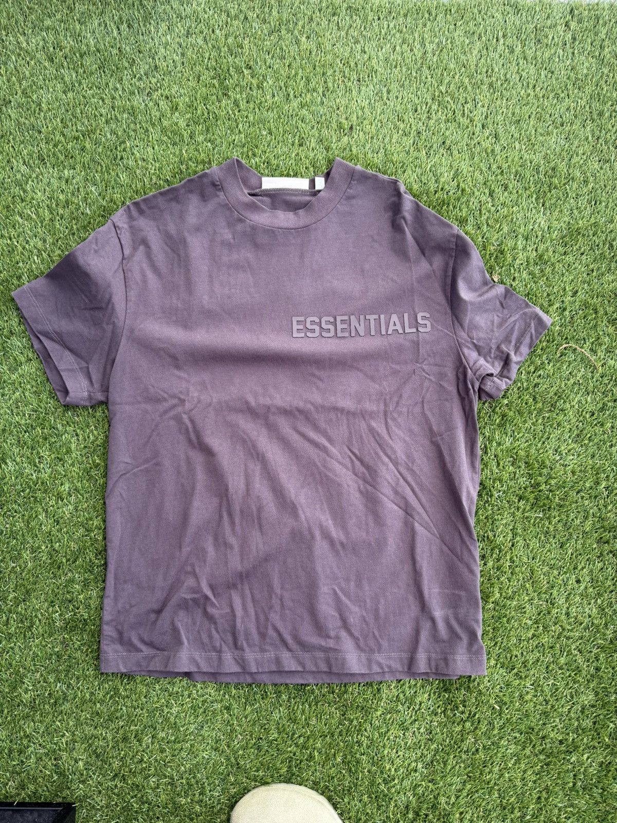 Essentials Logo Tee Hoodie, Sweatshirt | FlexRushtees.com