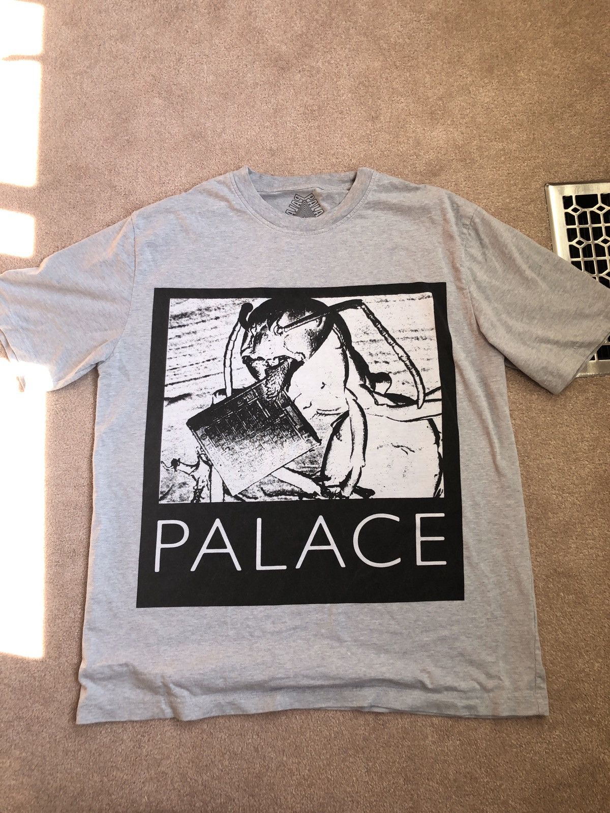 Palace Ant T Shirt Hoodie, Sweatshirt | FlexRushtees.com
