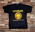 The Offspring Vintage T Shirt Hoodie, Sweatshirt | FlexRushtees.com