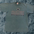 Thrasher Vintage Destroyed T Shirt Men S Blue 90s Michigan Charlevoix Thrashed Faded Distressed 80s Hoodie, Sweatshirt