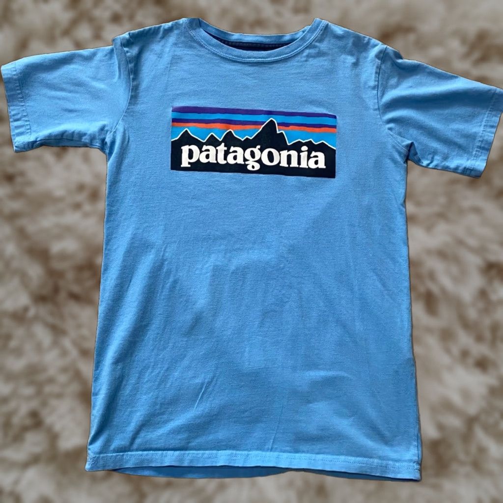 Patagonia Youth Boys Blue Short Sleeve Graphic T Shirt Large 12 Unisex Kids Crew Neck Pull