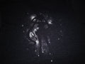 Japanese Brand Sailor Moon Naoko Takeuchi Tshirt Anime Silhouette
