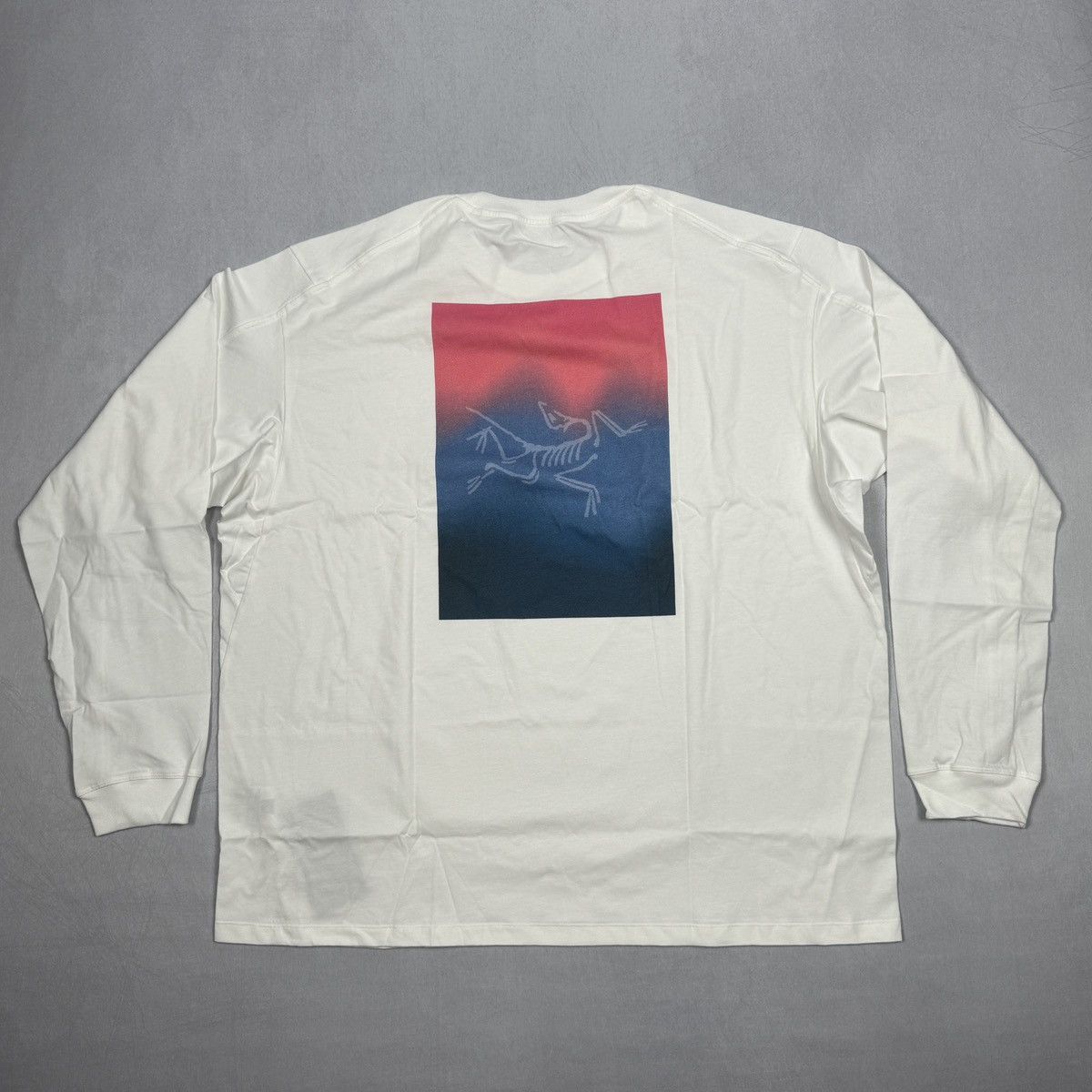 Teryx Arc Teryx Kragg Heatmap Shirt