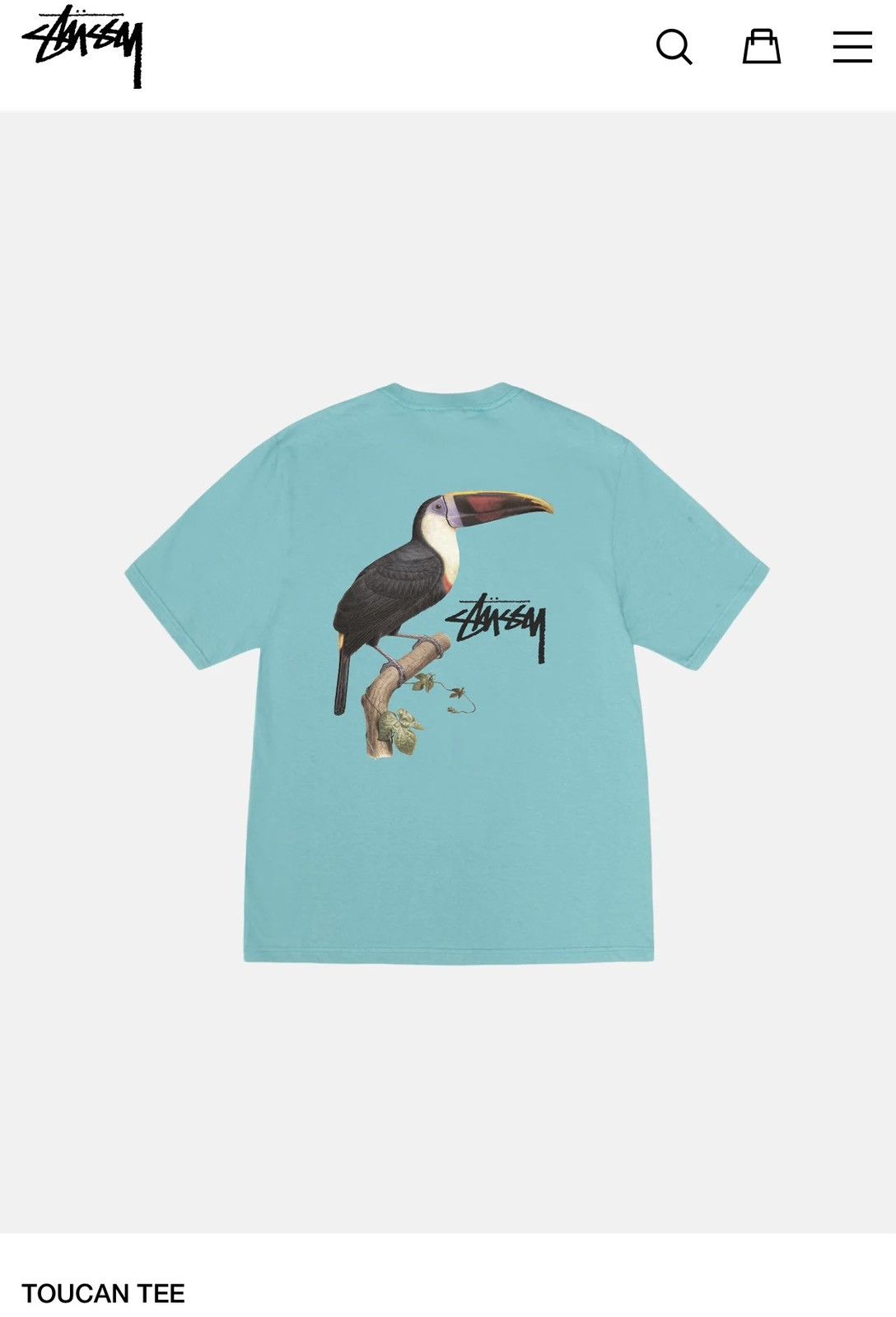 Stussy Toucan Tee Ocean