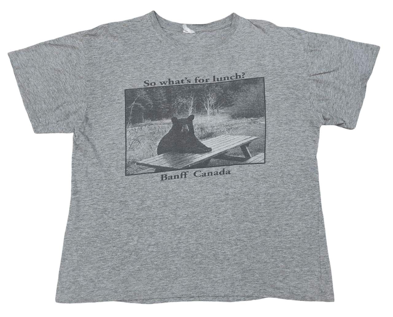 Vintage Banff Canada Humor T T-Shirts, Hoodie, Sweatshirt | FlexRushtees.com