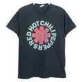 Vintage Hanes Red Hot Chili Peppers Grey Music Tshirt Vintage 2006 Hoodie, Sweatshirt | FlexRushtees.com