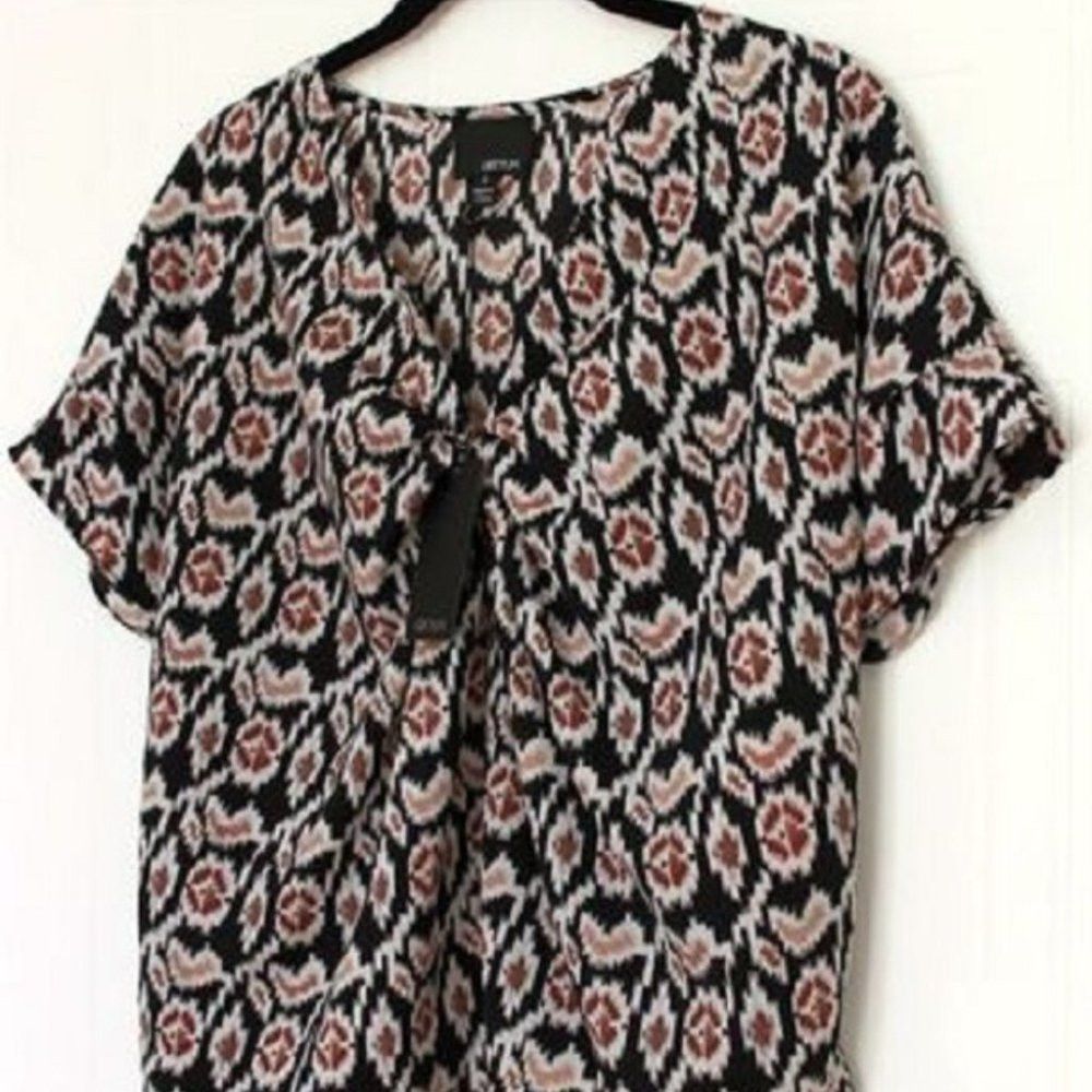 Other Greylin Los Angeles Talulah Pintucked Shirt