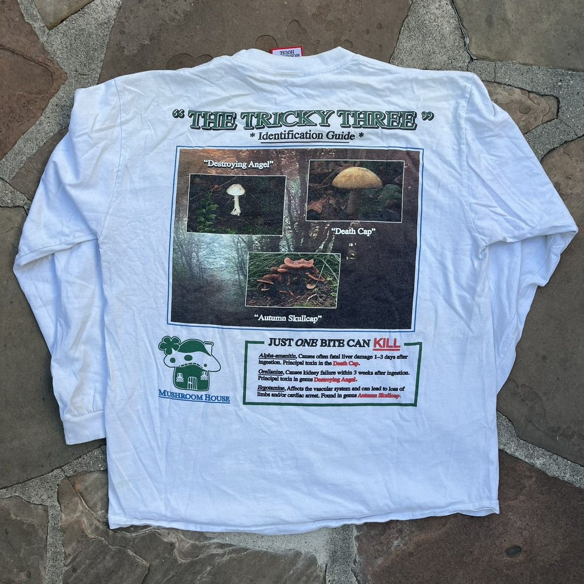 Ceramics Online Ceramics Mushroom House Long Sleeve Rare Early Print