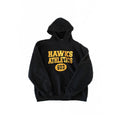 Vintage Russell Athletic Iowa Hoodie