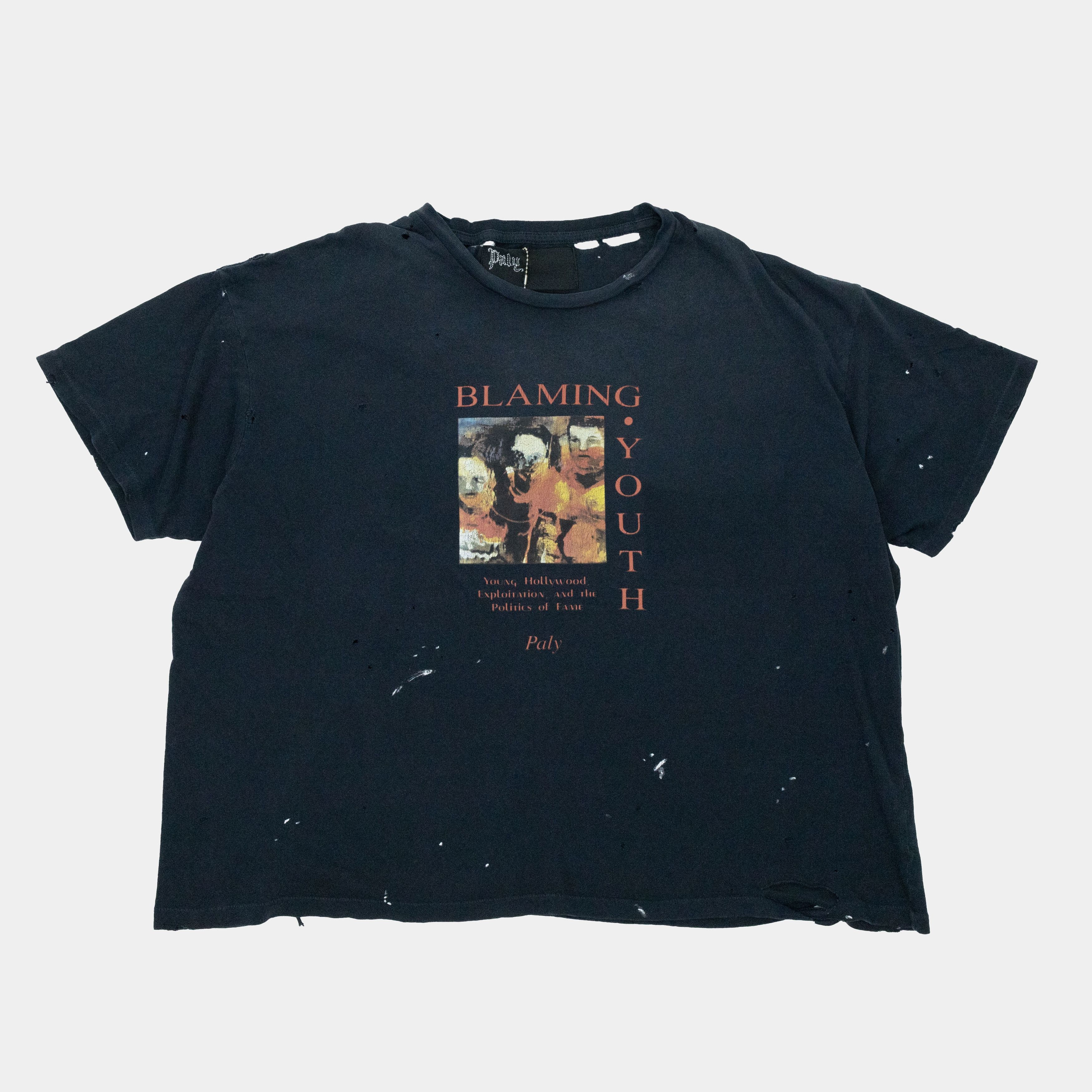 Hollywood Paly Hollywood Blaming Youth T Shirt Hoodie, Sweatshirt | FlexRushtees.com
