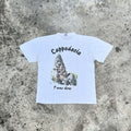 Vintage Cappadocia Rock Art Tee Hoodie, Sweatshirt | FlexRushtees.com
