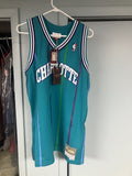 Ness Mitchell Ness Hwc Charlotte Hornets Nba Basketball Jersey