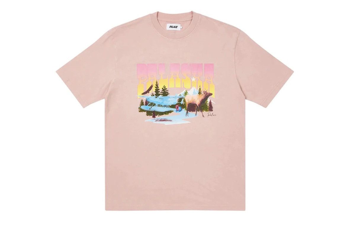 Palace Palaska Tee Hoodie, Sweatshirt | FlexRushtees.com