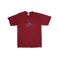 Vintage Virginia Blue Ridge Mountains Embroider Tee M