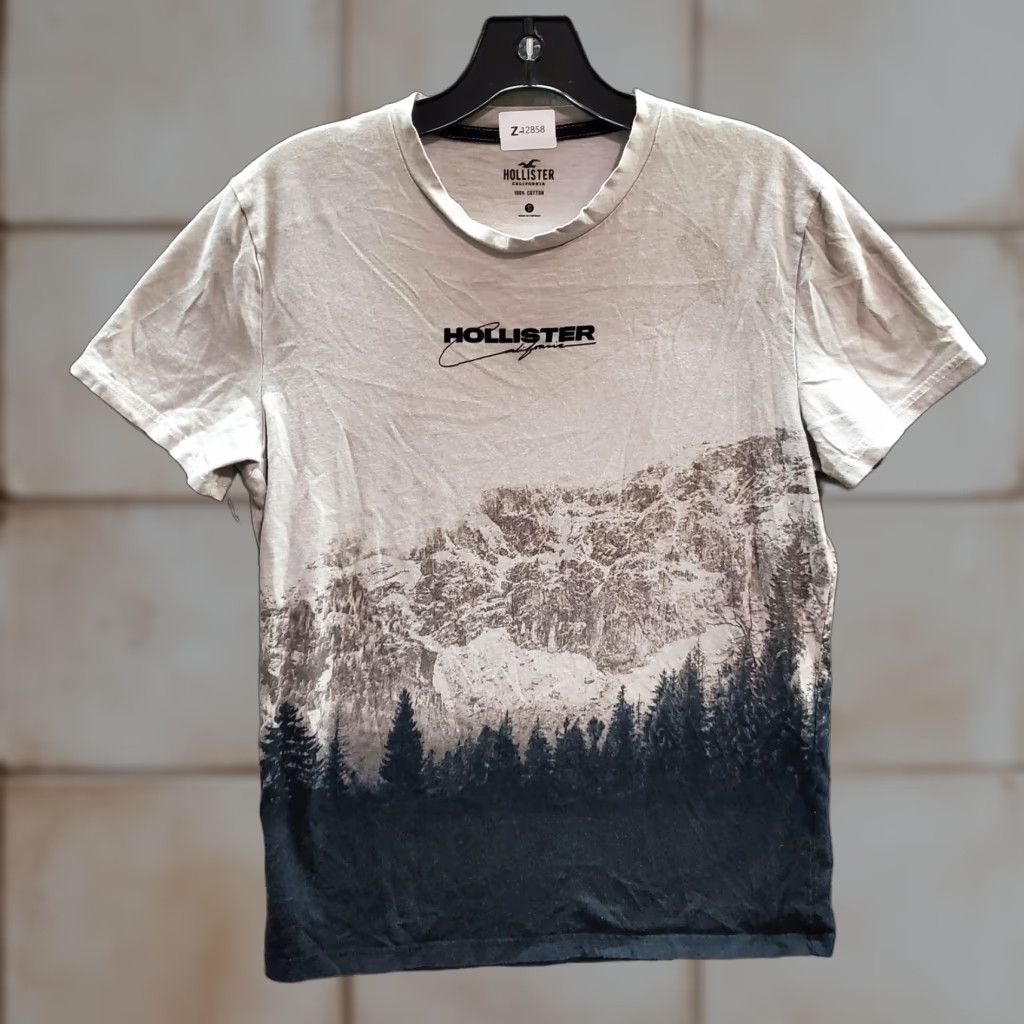 Vintage Hollister T Shirt Men Short Sleeve Beige Mountain Forest Graphic Print Crew Neck S Medium