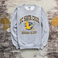 Gildan Vintage Pulp Fiction Uc Santa Cruz Slugs Sweatshirt T-Shirts, Hoodie | FlexRushtees.com