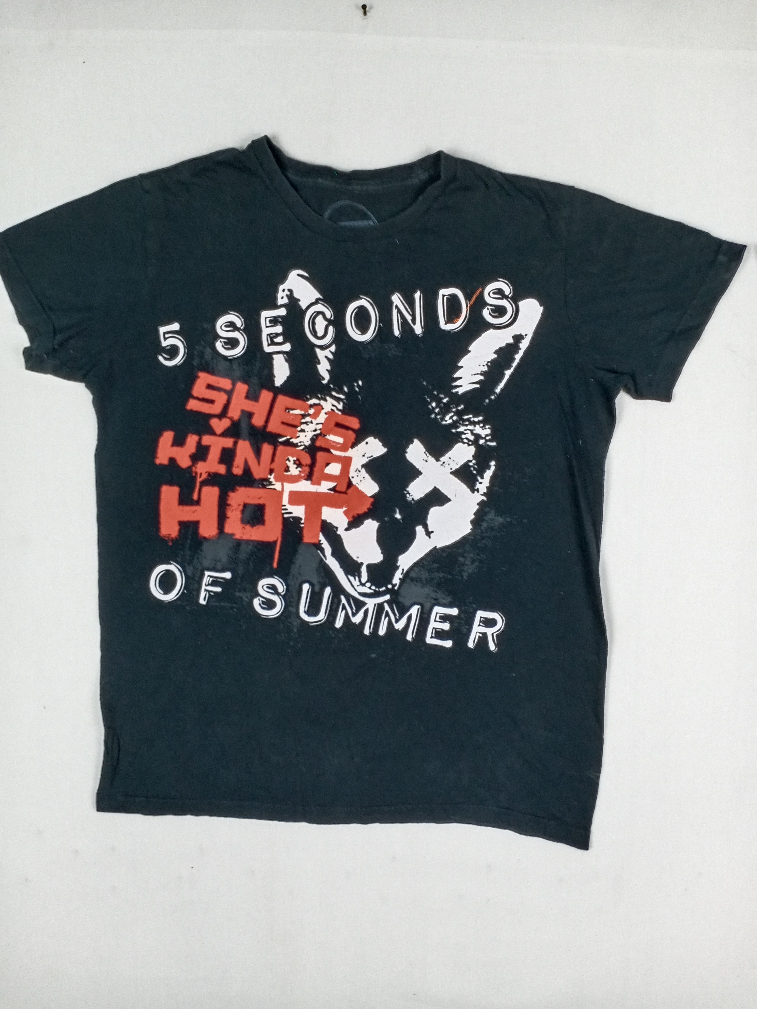 Band Tees 5 Seconds Of Summer Tee Shirt Rare Hoodie, Sweatshirt | FlexRushtees.com