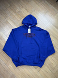 Vetements Paris Oversized Blue Hoodie T-Shirts, Sweatshirt | FlexRushtees.com