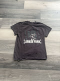 Vintage Handmade Rust Linkin Park Shirt Hoodie, Sweatshirt | FlexRushtees.com