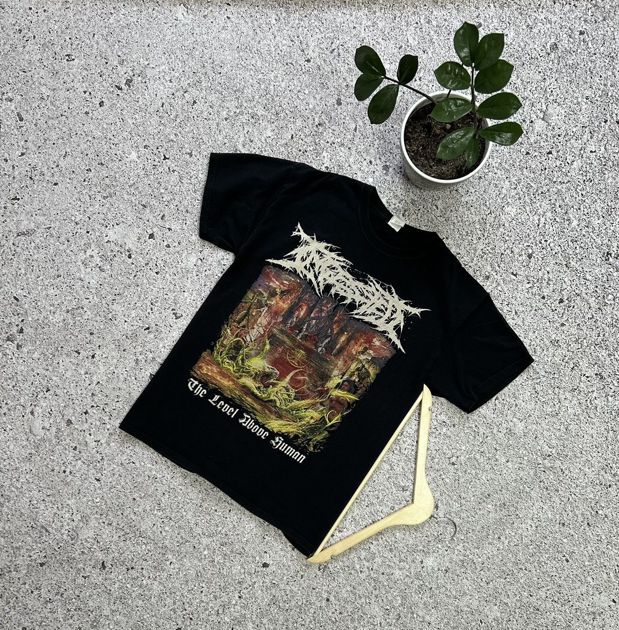 Band Tees The Level Above Human Ingested European Tour 2018 Tee Hoodie, Sweatshirt | FlexRushtees.com