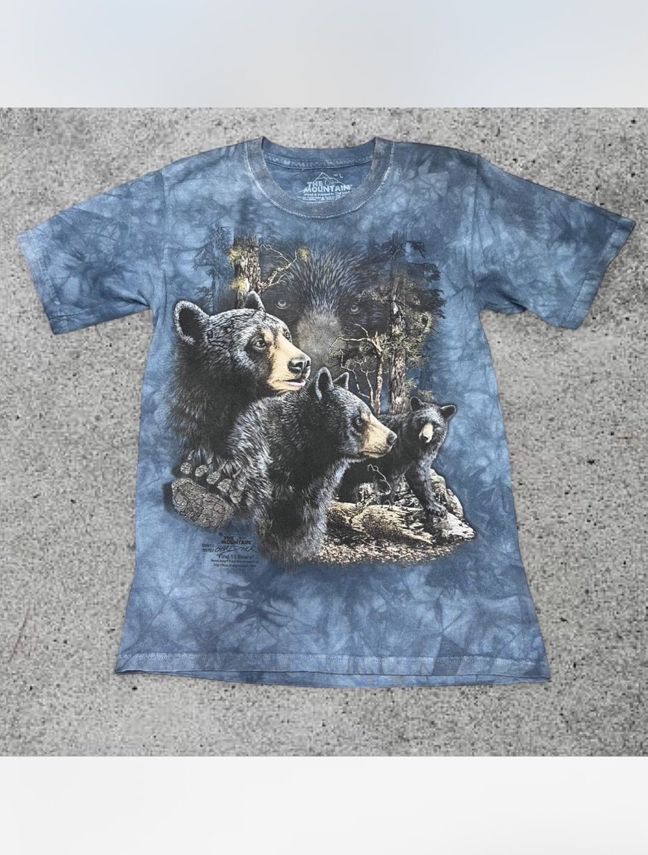 Other Bear The Mountain Tee