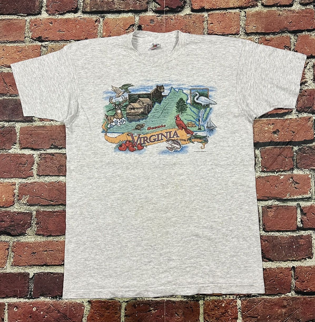 Fruit Of The Loom Vintage Scenic Virginia Nature Animal Mountain Tee 90s