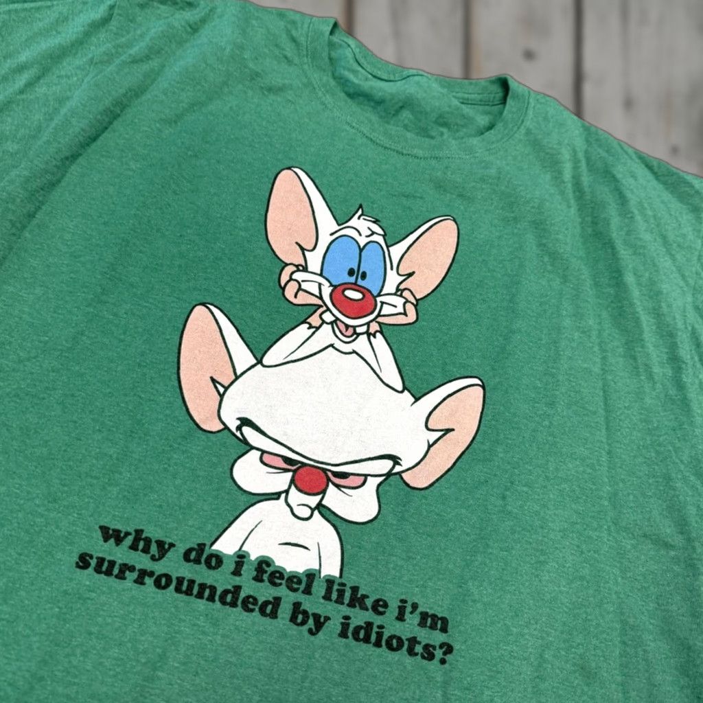 Vintage Green T Shirt Mens Xl Green Brain And Pinky Warner Brothers Quote Why Do I Feel Like Hoodie, Sweatshirt