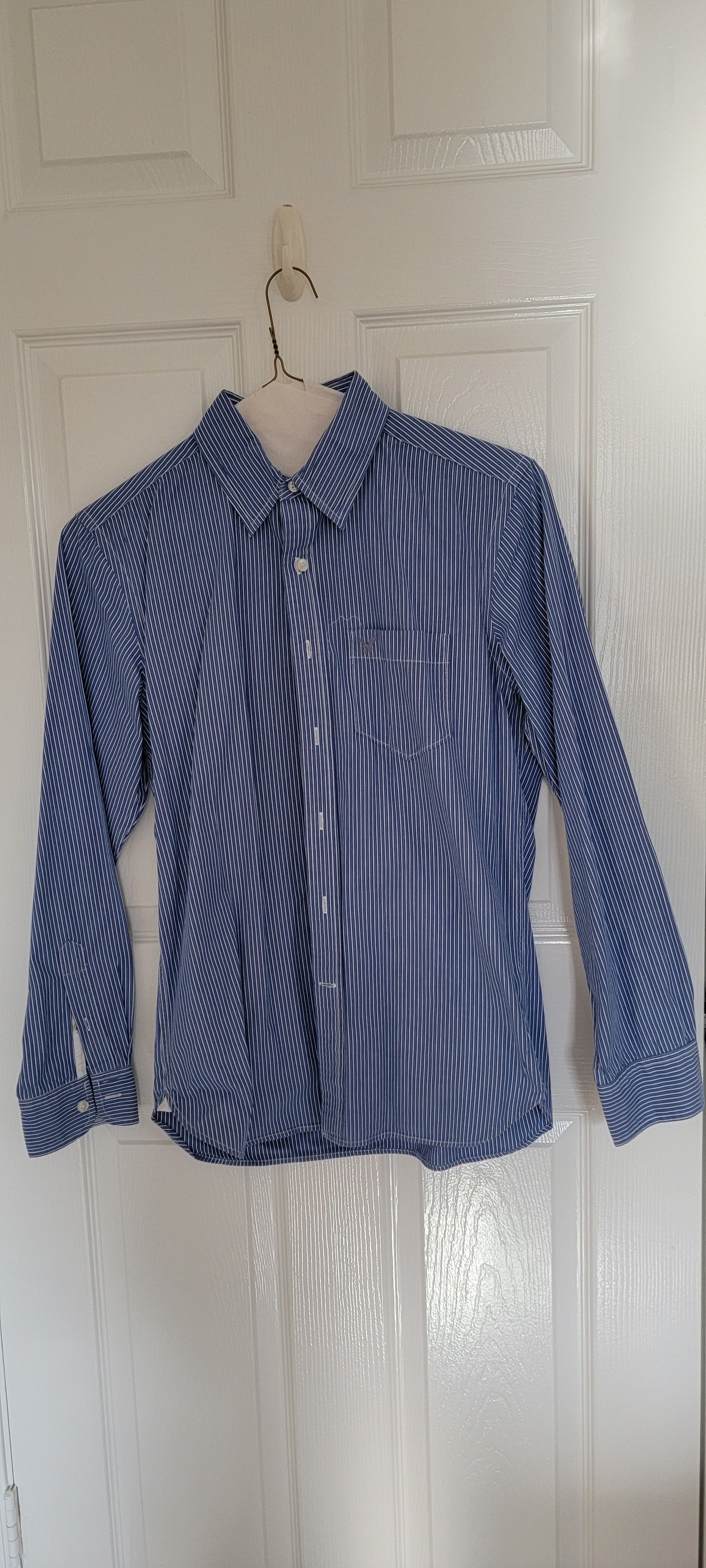 American Eagle Outfitters Blue Pinstripe Shirt