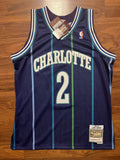 Mitchell Ness Nba Swingman Hornets 94 Larry Johnson Jersey